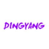 Dongguan Dingyang Product Co., Ltd.