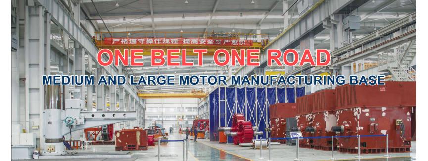 ZCL Electric Motor Technology Co., Ltd.