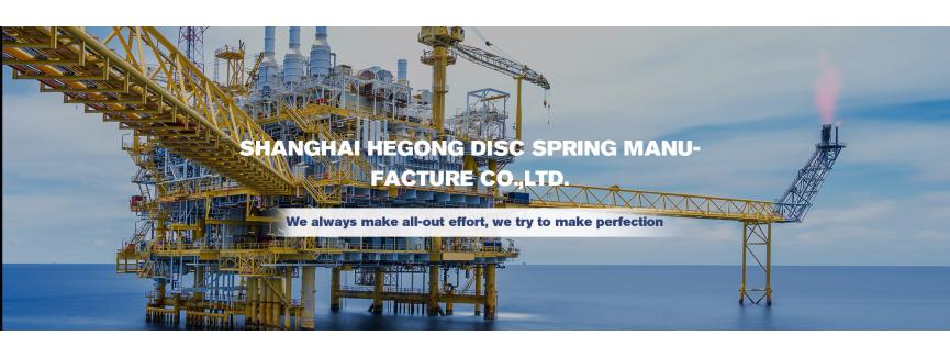 Shanghai Hegong Disc Spring Manufacture Co.,Ltd.