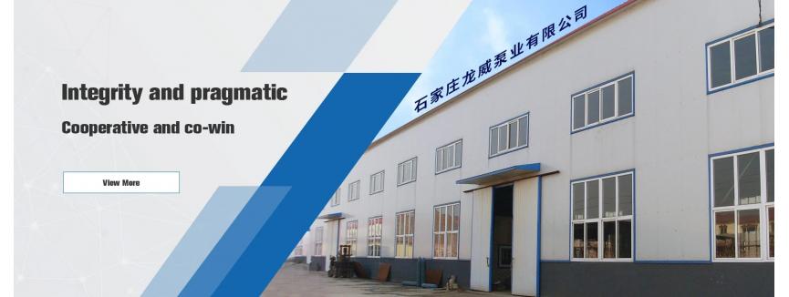 Shijiazhuang Longwei Pump Co.,Ltd