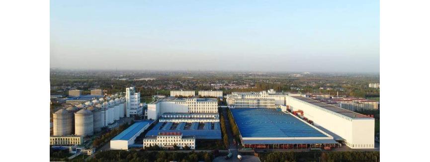 Hebei  Lvyang Biotechnology Co.,Ltd