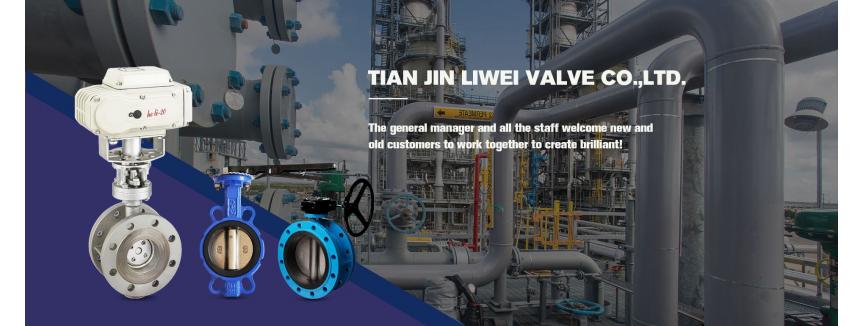 Tianjin LIWEI Valve Co., Ltd.