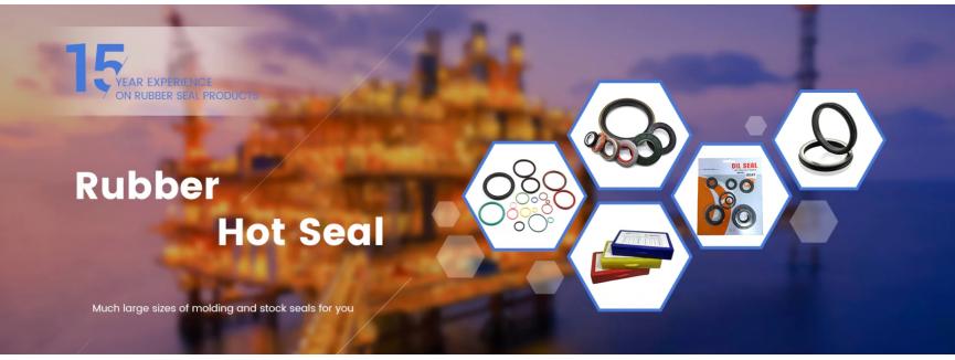 Tianjin King Seal Technology Co., Ltd