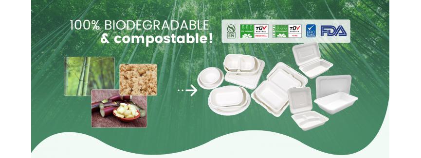 Shandong Shengquan New Materials Co., Ltd