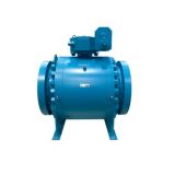 Shanghai Shinjo Valve Co.,Ltd.