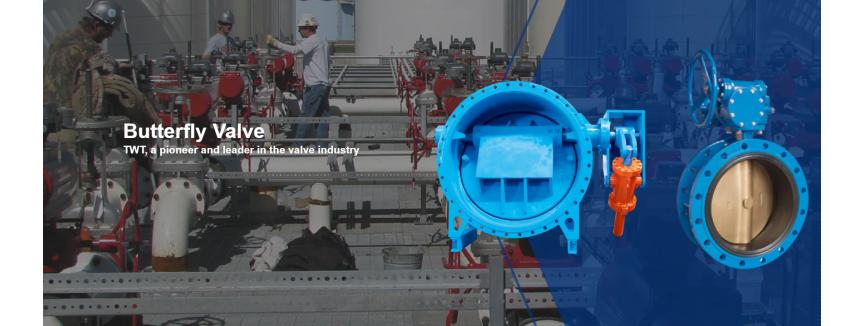 Tianjin Tanggu TWT Valve Co., Ltd.