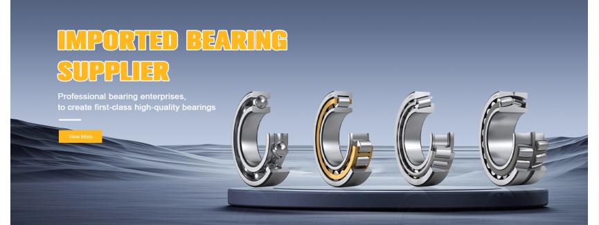 Beijing Skyford Bearing Trading Co., Ltd