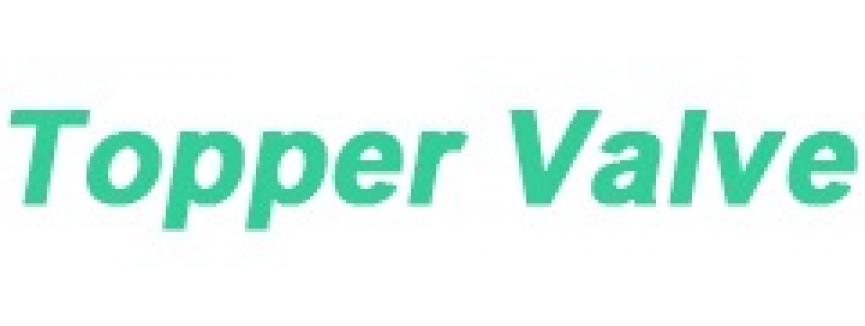 China Topper Valve Manufacturer Co., Ltd