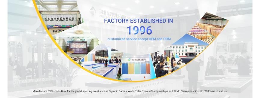 Dongxing Plastic Co., Ltd