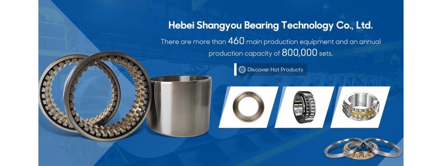 Hebei Shangyou Bearing Technology Co., Ltd
