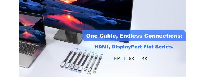 Dongguan Lanshuo Hardware Electronics Co.,Ltd