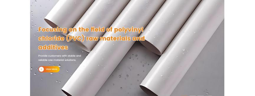 Dingnuo Polymer Technology Group Co., Ltd