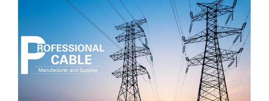 Jiangxi Biaobang Cable Co., Ltd