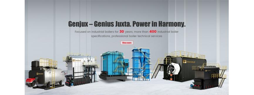 Hebei Genjux Boiler Co.,Ltd
